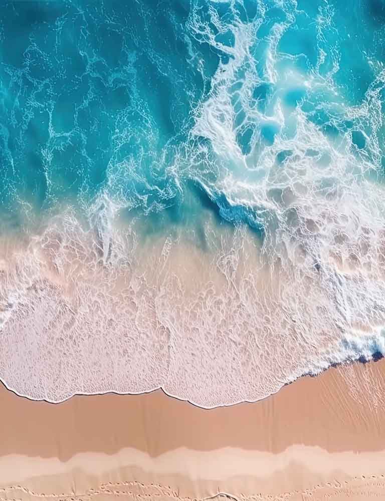 family law services san diego